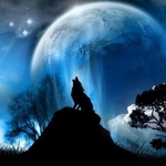 Волки Волк воет в небо аватар
