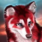 Волки Красный волк аватар