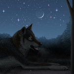 Волки Волчица в звездную ночь аватар