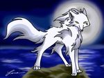 Волки Белый волк на фоне луны аватар