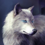 Волки Красивый белый волк аватар