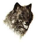 Волки Волк (набросок карандашом) аватар