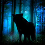 Волки Черный волк в ночном лесу аватар