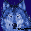 Волки Синий волк аватар