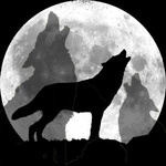 Волки Волки на фоне луны аватар