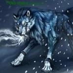 Волки Злой волчара аватар