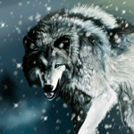 Волки Волк со снежинками аватар