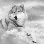 Волки Белый волк лежит на облаке аватар