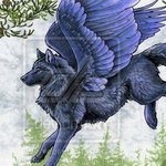 Волки Крылатый волк синий аватар