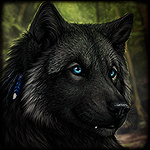 Волки Черный волк с голубыми глазами. художник darkicewolf аватар