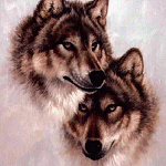 Волки Волки нежно относятся друг к другу аватар