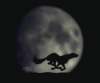 Волки Волк бежит на фоне большой луны аватар