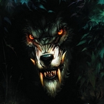 Волки Злая морда волка аватар