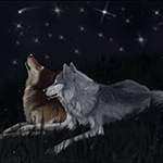 Волки Волк и волчица смотрят на звездное небо аватар