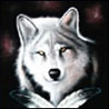 Волки Красивый волк аватар