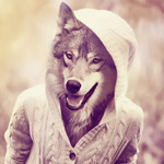 Волки Волк в белом свитере аватар