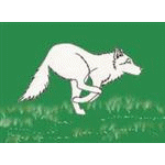 Волки Белый волк бежит по зеленому лугу аватар