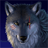 Волки Волк-победитель, морда в боевых шрамах аватар