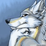 Волки Белая волчица хитро косит глазом аватар