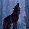 Волки Волчий дождь аватар