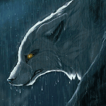 Волки Волк с горящими желтыми глазами под дождем аватар