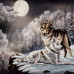 Волки Волки зимой в лесу ночью аватар