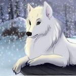 Волки Белая волчица лежит на снегу в лесу аватар