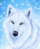 Волки Волк и снег аватар