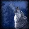 Волки Воющий волк на фоне ночного леса аватар