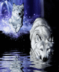 Волки Волки переходят реку вброд аватар