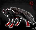 Волки Крылатый волк черный аватар