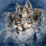 Волки Три волка аватар