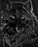 Волки Нарисованный волк в контрастном плане аватар