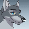 Волки Волчица - голубоглазка аватар