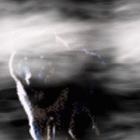 Волки Силуэт волка проступает сквозь туманную мглу аватар