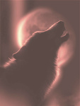 Волки Волк в красных тонах воет на луну аватар
