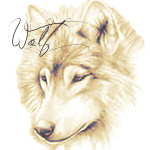 Волки Рисунок волчицы (wolf) аватар