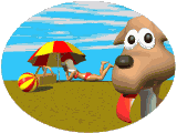 Собаки Барбос на пляже аватар