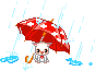 Собаки Щенок оказался под дождем и прикрылся красным зонтиком аватар