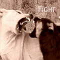 Собаки Битва собак, fight аватар