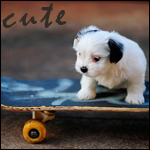 Собаки Щенок на скейте (cute) аватар