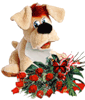 Собаки Собака с букетом цветов аватар