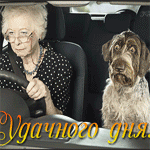Собаки Бабушка за рулем с испуганной собакой (удачного дня!) аватар