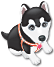 Собаки Черно-белый пес аватар