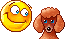 Собаки Смайлик с рыжим пуделем аватар