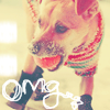 Собаки Собака в шарфе (omg) аватар