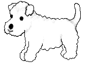 Собаки Белый щенок аватар