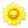 Солнышко, солнце Подсолнышок аватар