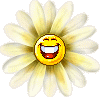 Солнышко, солнце Солнышко - цветочек аватар