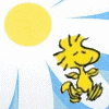Солнышко, солнце В лучах весеннего солнышка аватар